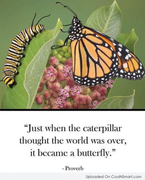 Holding On Quote: Just when the caterpillar thought the world...