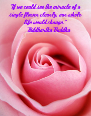 Your Heart Field IS Your Life