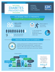 the Program - National Diabetes Prevention Program - Diabetes DDT