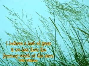 believe a leaf of grass is no less than the journey work of the ...