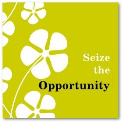 Seize The Opportunity