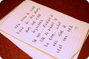 the things that are most important to you... Nothing in life is meant ...