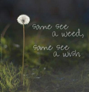 Some see a wish