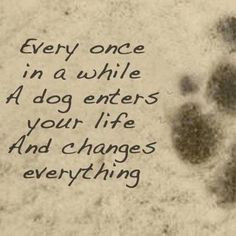 Every once in a while, a dog enters your life and changes everything ...