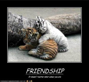 Hilarious Friendship Pictures Funny friendship quotes