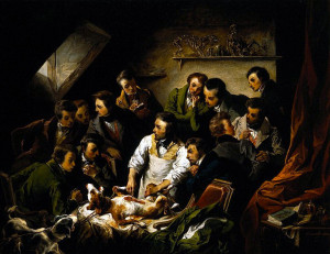 Een hond wordt opengesneden (vivisectie)