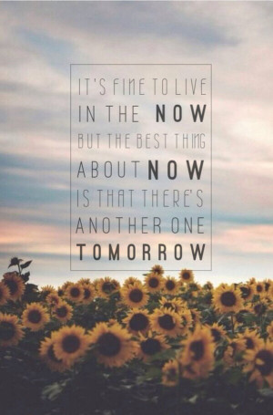 background, flowers, life, now, quote, wallpaper, the spectacular now
