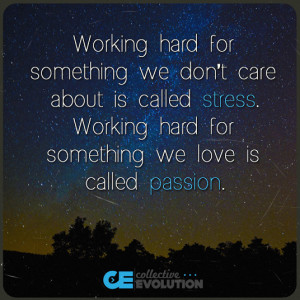 Quote on Working Hard and the Difference between Stress and Passion