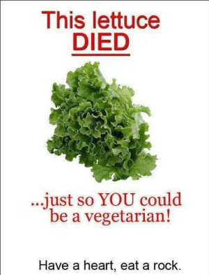 Funny-vegetarian-jokes.jpg