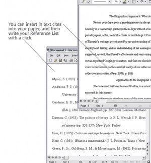 Apa Long Quote Format Example