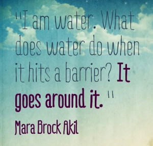 ... water do when it hit a barrier? It goes around it. - Mara Brock Akil