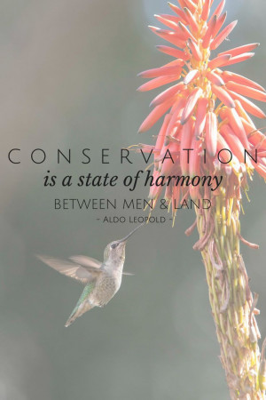 Conservation is a state of harmony between men & land.