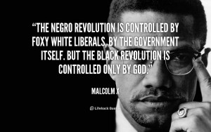 The Negro revolution is controlled by foxy white liberals, by the ...