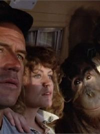 His ape?