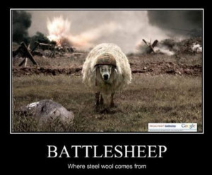 Humor Quotes. Funny. Sheep. Animals.