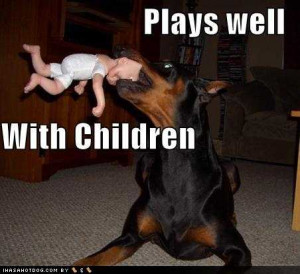 funny-dog-pictures-this-dog-plays-well-with-children.jpg