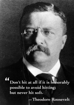 theodore roosevelt famous quotes sayings avoid hitting