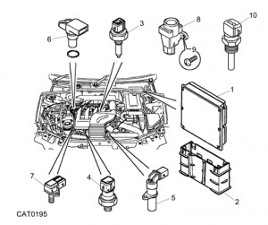 Diesel Engine Temperature Sensors