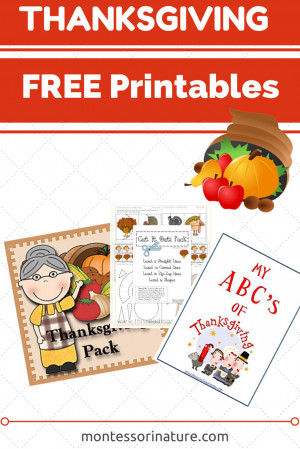 Free Thanksgiving Preschool Printables.{ Kids Learning Printables ...