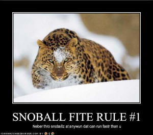 funny winter snowball image