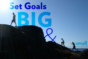 Goals are not only absolutely necessary to motivate us. They are ...