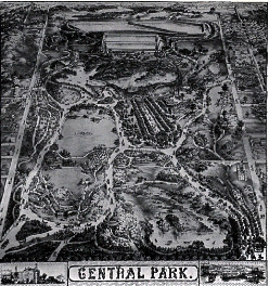 100多年后的今天，纽约中央公园依然是普通公众休闲 ...