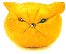 sour-puss-lemon-face-715527.gif