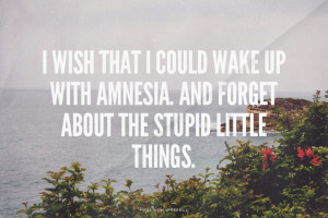 wish that I could wake up with amnesia. And forget about the stupid ...