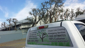 white valley tree service free quotes!!!!! (323)9454526