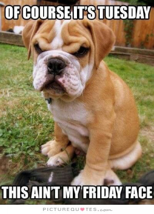 ... Tuesday, this ain't my Friday face quote | Picture Quotes & Sayings