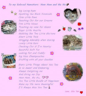 poem in memory of my hamsters