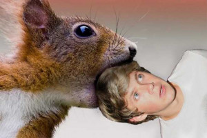 Niall Horan Attacked By Squirrel
