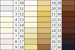 Description Felix von Luschan Skin Color chart.svg