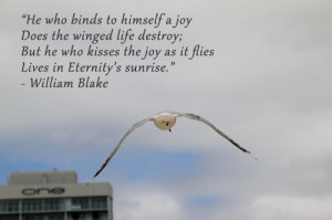 ... Between Attachment, Detachment and Non-Attachment? by Evelyn Lim