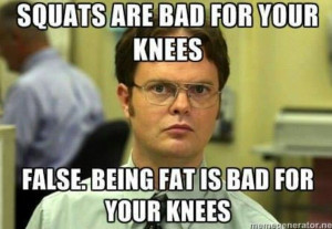 Squats are bad for your knees..