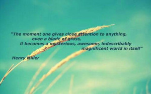 Henry Miller quote