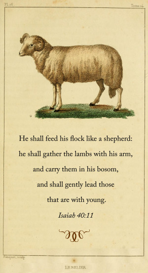 February 21, 2014 / Quotes / No Comments 1