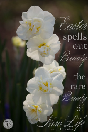 easter spells out beauty the rare beauty of new life s d gordon jpg