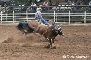 Calf Roping Quotes This is not calf roping!