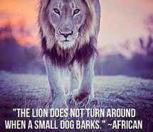 don't care, independence, lion, pride, quote, small dog, strength ...