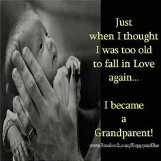 ,grandsons, grandma quotes Thoughts, Inspir Quot, Famili, Grandma ...