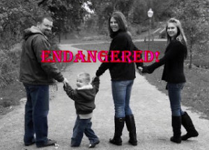 SNIPPITS AND SNAPPITS