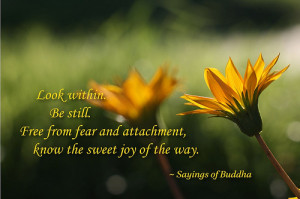 ... www.pics22.com/look-within-be-still-buddhist-quote/][img] [/img][/url