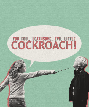 Harry Potter Draco & Hermione