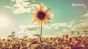 ... Your Favorite Quotes That Remind You To Move On When Life Gets Rough