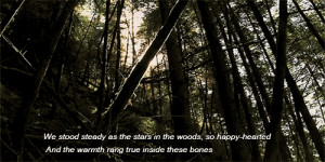 my gifs sun nature forest Woods Camping ben howard old pine