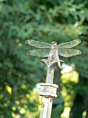 Live Though Because Florida