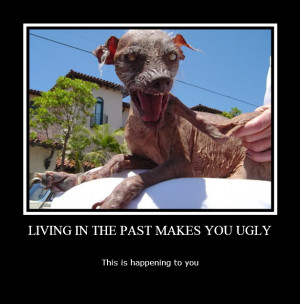worlds-ugliest-dog.jpg