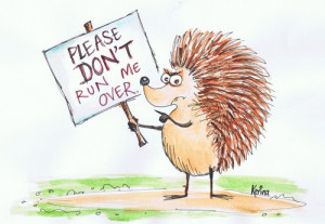 ... Pictures hedgehog cartoon picture funny inspirational quotes images