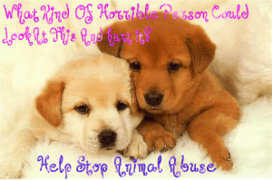 Against Animal Cruelty! Stop Animal Abuse